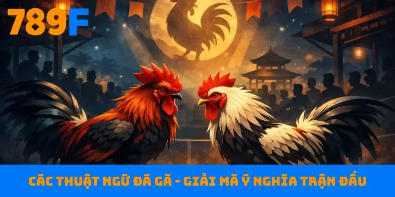 Các thuật ngữ đá gà