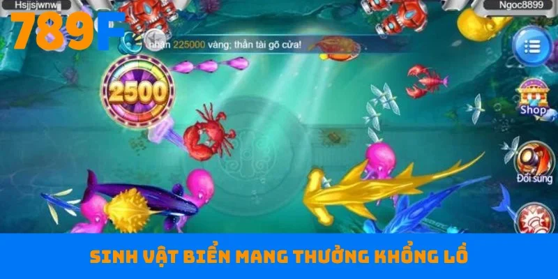 Sinh vật biển mang thưởng khổng lồ